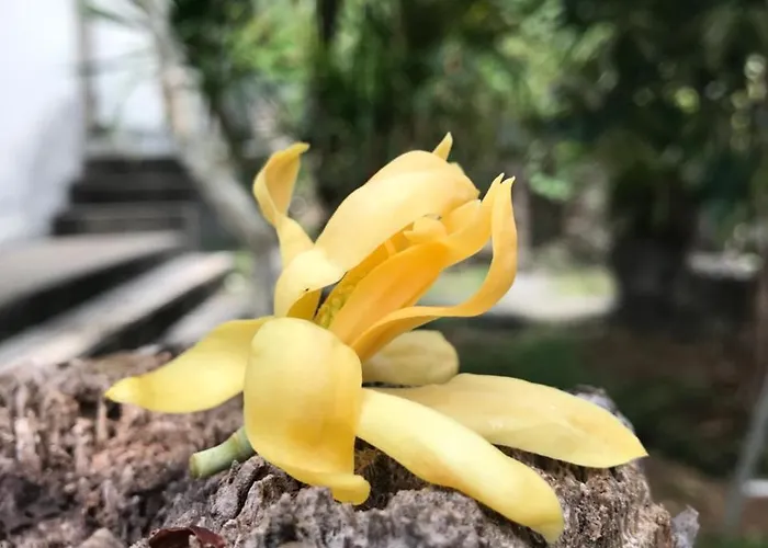 Accommodatie bij particulieren El Bali *