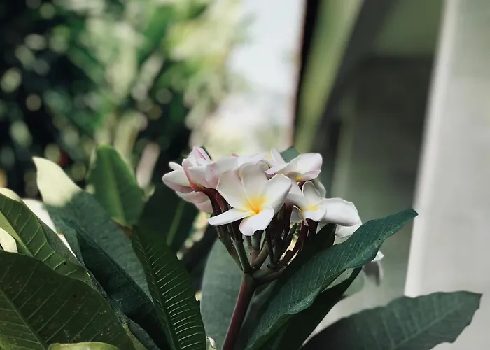 El Bali ホームステイ *