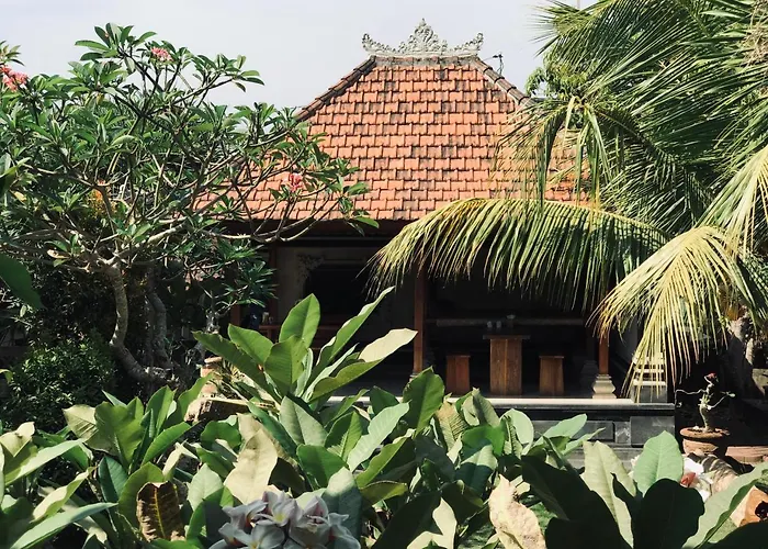 El Bali *